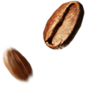 Семена кофе