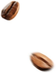 Семена кофе